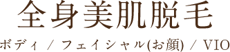 全身美肌脱毛 ボディ / フェイシャル(お顔) / VIO